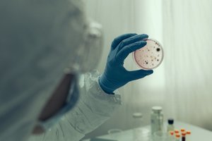 Juodoji statistika: Europoje neliko koronaviruso nepaveiktų valstybių