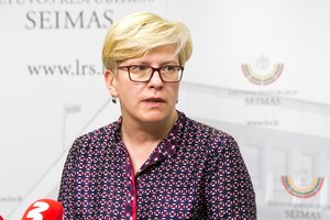I. Šimonytė: jei neapibrėžtumas užsitęs, Vyriausybei gali tekti daug ką daryti pačiai
