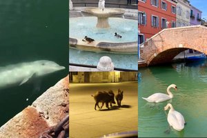 Planeta atsigauna: Italijoje – stulbinantys pokyčiai miestuose