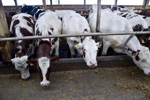 Pienininkai: koronavirusas gali komplikuoti padėtį sektoriuje