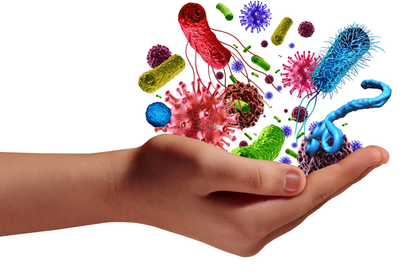 Bakterijos taip pat gali patekti ant rankų, jei žmonės paliečia kokį nors daiktą, ant kurio jau yra mikrobų, nes kažkas jį apkosėjo ar apčiaudėjo ar buvo palietęs.<br> 123rf nuotr.
