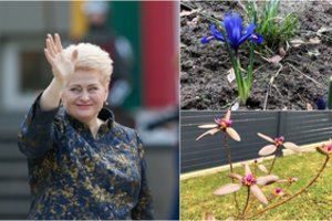 Sodo vaizdais pasidalijusi D. Grybauskaitė įvertino pokyčius Lietuvoje paskelbus karantiną