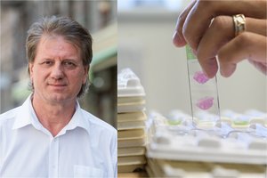 Profesorius: greitieji testai atskleistų realią situaciją Lietuvoje – kiek užsikrėtusių koronavirusu