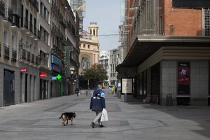 Prancūzijos mokslininkai: koronaviruso neplatina nei ūkiniai, nei naminiai gyvūnai