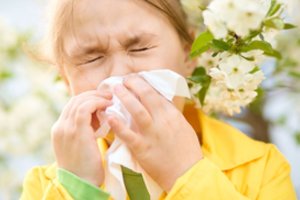 Visa svarbiausia informacija alergiškiems žmonėms:  „Laisvė kvėpuoti“ ir žydėjimo kalendorius