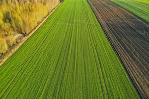 Karantinas nestabdo Kauno rajono ūkininkų pasirengimo pavasario darbams