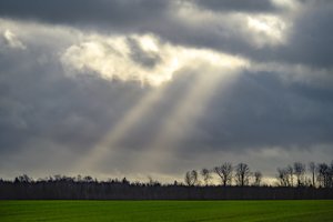Žemės ūkio rūmų pirmininkas: kaime žmonės į situaciją žvelgia nuosaikiau