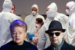 A. Verygai įgėlusi D. Grybauskaitė kirto dar kartą: „Bukas užsispyrimas ir neigimas – nusikalstama“