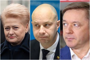 A. Verygos pusėn stojęs R. Karbauskis išrėžė, ką galvoja apie D. Grybauskaitės žodžius ir elgesį