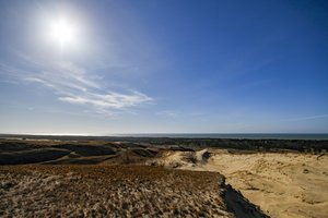 Svaiginantys vaizdai iš Kuršių nerijos: bundanti gamta pasitinka pavasarį