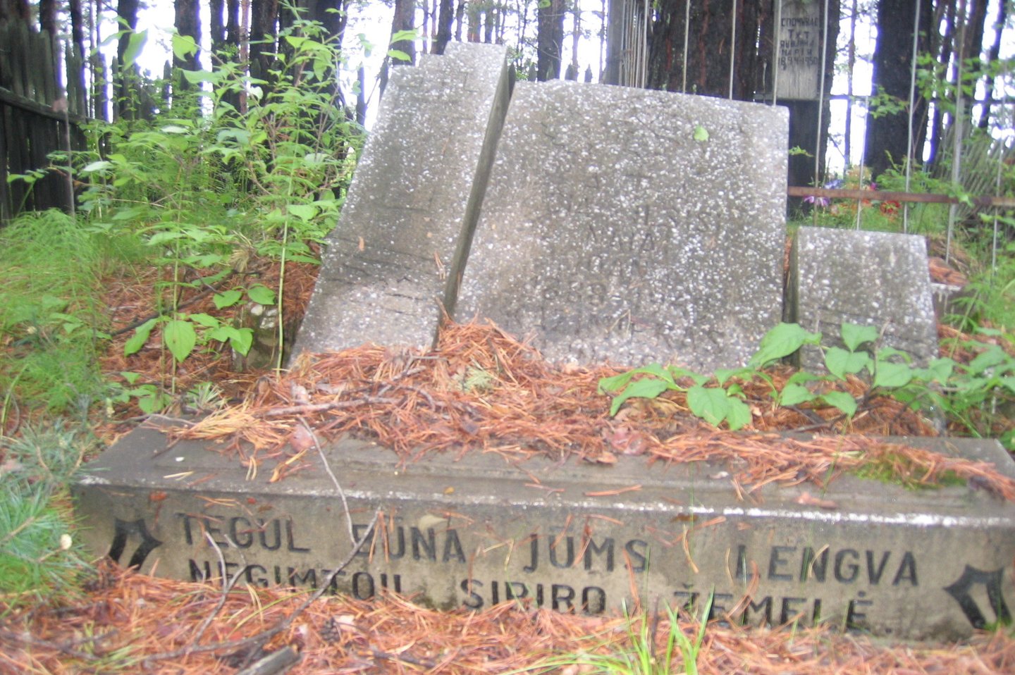 1949 m. sovietai baigė trėmimų operaciją „Priboj“ („Bangų mūša“). Per tris dienas iš Lietuvos buvo ištremtas 28 981 žmogus.<br>kiti