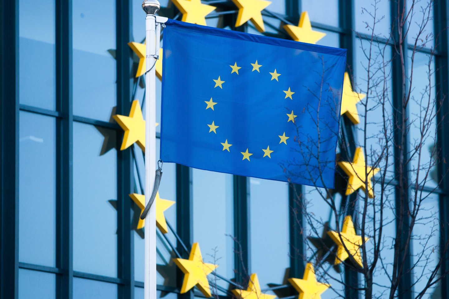 Europos Komisija ir Europos Sąjungos diplomatijos vadovas Josepas Borrellis trečiadienį pristatė bendrą dokumentą, kuriame išdėstyti ES prioritetai žmogaus teisių bei demokratijos gynimo srityje 2020–2024 metams.<br>J.Stacevičiaus nuotr.