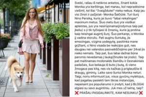 Monika Šalčiūtė kaltinama šuns kankinimu, socialinių tinklų žvaigždė tai vadina šmeižtu 