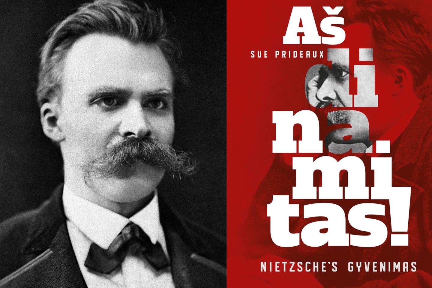 „Aš dinamitas!“ — tai biografija, kurią būtina perskaityti visiems, siekiantiems suprasti labiausiai nesuprastą visų laikų filosofą F.Nietzsche.