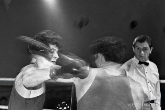 Bokso varžybos Kėdainiuose (1961 m.)<br> A.Pliadžio nuotr.