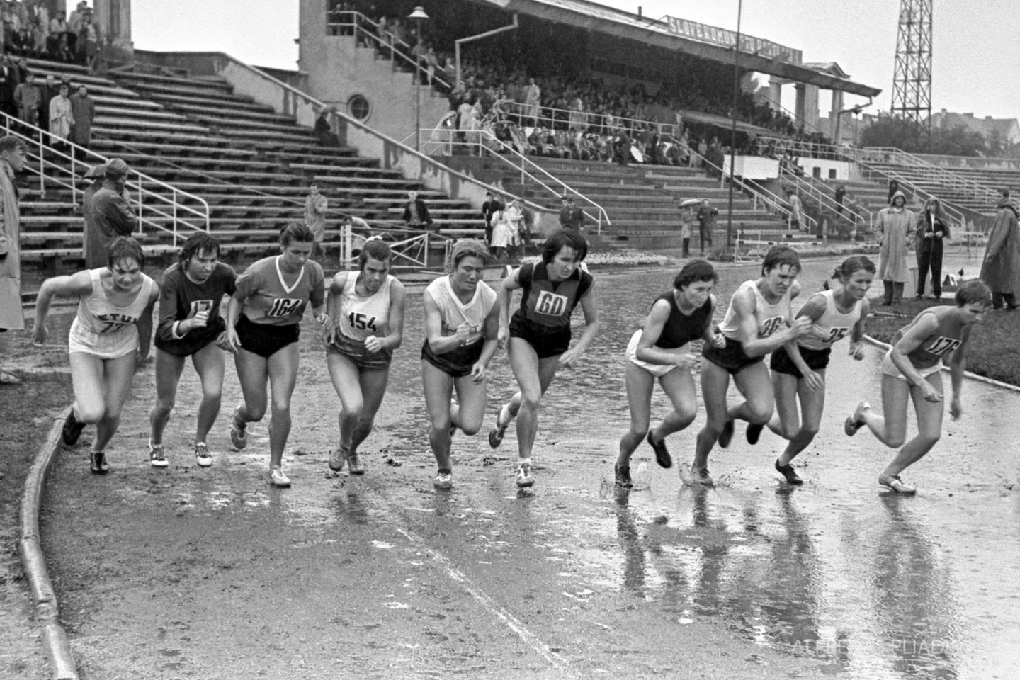 Moterų bėgimas Vilniaus „Žalgirio“ stadione (1962 m.)<br> A.Pliadžio nuotr.