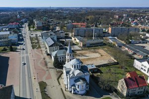 Epidemiologas: pandemijos metu demokratiją reikėtų pamiršti