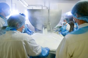 Pienininkai: pieno žaliavos importo sustabdymas sužlugdytų visą pieno sektorių