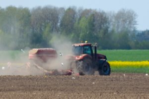 Daržovių augintojai ruošiasi naujai sėjai: žemei karantino nėra