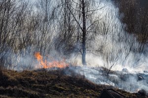 Savaitgalį Lietuvoje kilo beveik du šimtai žolės gaisrų