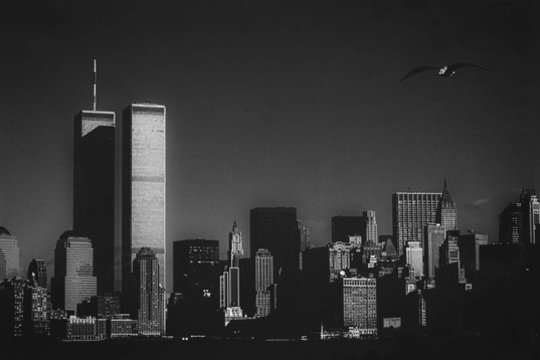 1972 m. Niujorke atidarytas Pasaulio prekybos centras. Sunaikintas 2001 m. rugsėjo 11 d. per teroristų atakas.<br>123rf nuotr.