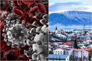 Vienoje Europos šalyje atrasta 40 koronaviruso mutacijų