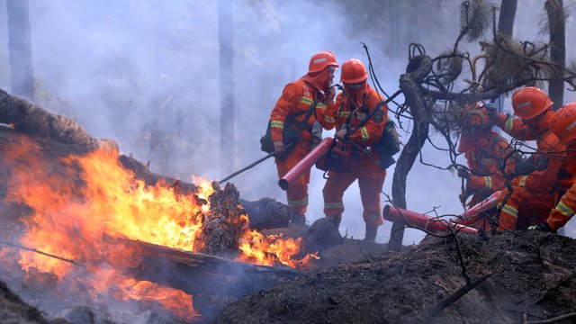 Kovos su stichija padariniai: ugnis pareikalavo 19 gyvybių, dauguma jų – ugniagesiai
