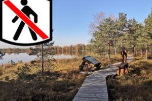 Dar viena vieta mažiau: lankytojams uždaromas Mūšos tyrelio pažintinis takas