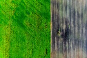 Pratęstas pasėlių deklaravimas