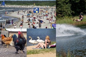 Kaip šią vasarą atostogausime: jei liks pinigų, turėsime dvi galimybes