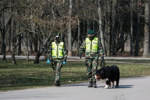 Epidemiologė atsakė, kurioje koronaviruso plitimo stadijoje šiuo metu esame