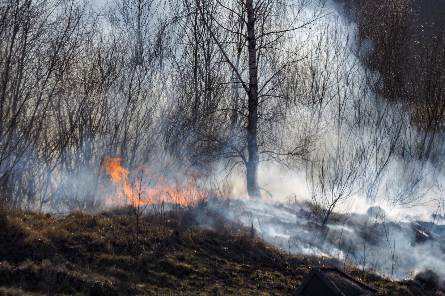 Per parą Lietuvoje kilo 16 žolės gaisrų.