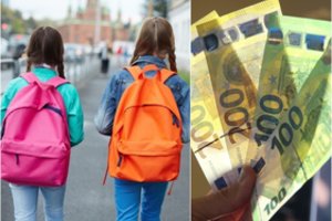 E. Jovaiša: supaprastinta nuotolinio neformaliojo ugdymo organizavimo tvarka