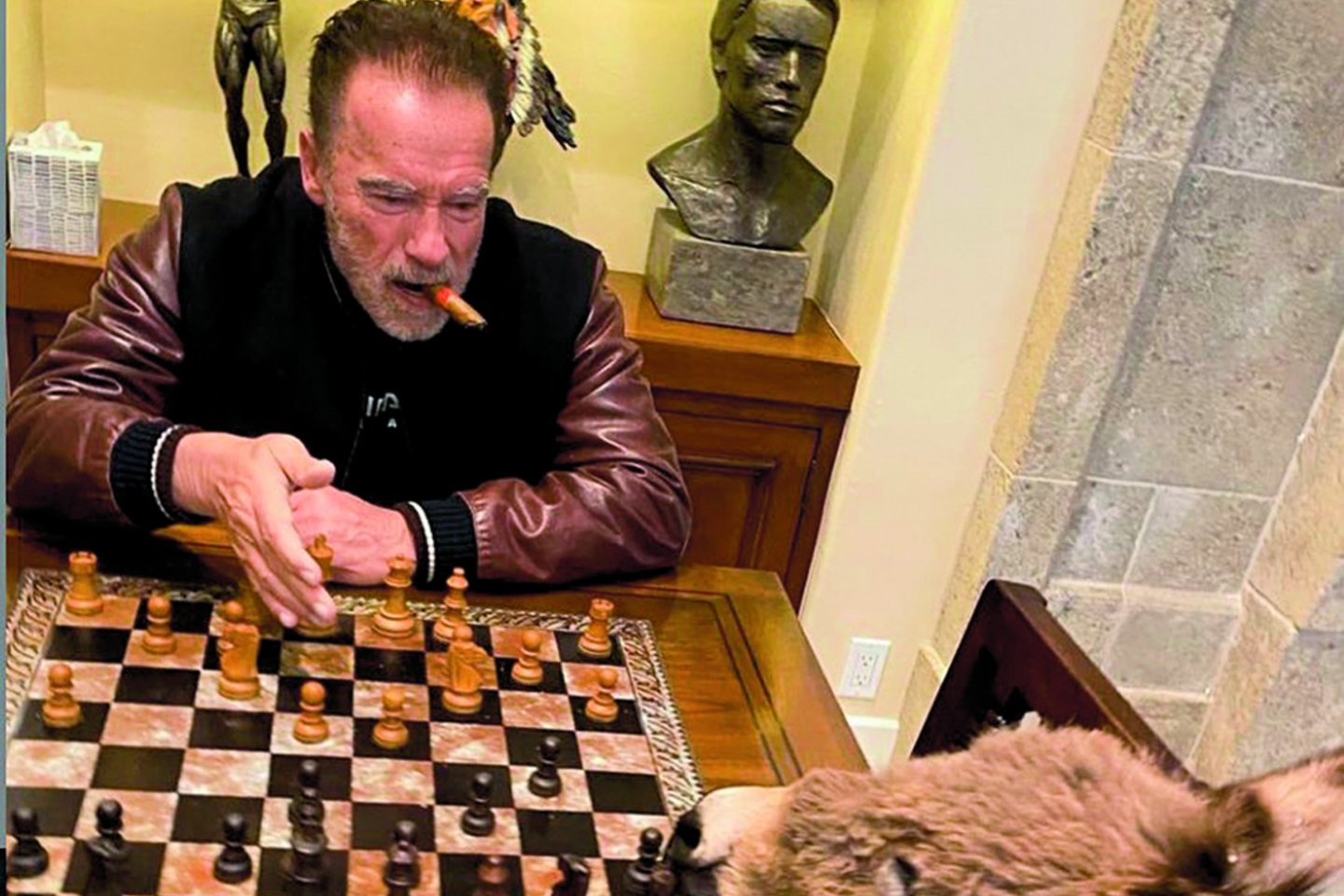 Augintinė Lulu padeda A.Schwarzeneggeriui žaisti šachmatais.<br>Nuotr. iš „Instagram“