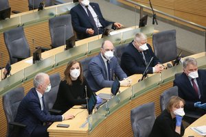 Po Seimo fiasko – opozicijos mintys: apie prezidentą, A. Verygą ir būsimus rinkimus