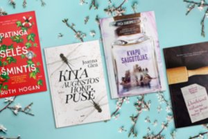 4 nauji romanai, kurie praskaidrins karantino rutiną