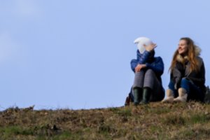 Įvertino pandemijos poveikį – pristatė, kiek smuko pensijų fonduose sukauptas turtas