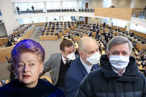 Dėl Seimo narių fiasko – ir D. Grybauskaitės kritika: priminė, kas pavyko kitų šalių politikams