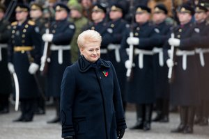 D. Grybauskaitės pavardė atstūmė dalį aukotojų – verslininkai neužmiršo požiūrio į juos