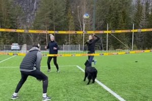 Koronaviruso pramoga: tinklinio aikštėje atsidūręs šuo žaidžia tiksliau nei sportininkai