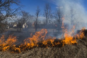 Savaitgalį ugniagesiai skubėjo gesinti per 70 žolės gaisrų