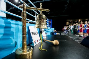 Bokso varžybos Europoje stabdomos iki rugpjūčio mėnesio