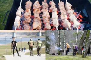 Į gamtą iškylauti susiruošusiems – griežtas specialistų perspėjimas