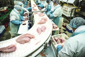 Karas Lietuvos pasienyje: norinčiųjų riboti importą – nors vežimu vežk