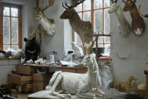 Namų kine perspektyvių lietuvių kūrėjų darbai – nemokamai