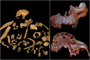 Atrasta seniausia žmonijos DNR – ir ji priklauso kanibalui
