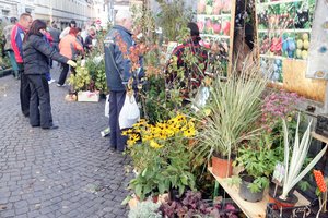 Ant 5 mlrd. eurų paramos aruodo – šešėlis, neišmoktos ir A. Kubiliaus laikų pamokos