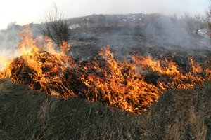 Per parą Lietuvoje kilo 47 žolės gaisrai