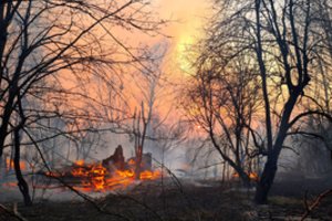 Anksčiau teistas ukrainietis prisipažino „pramogos dėlei“ padegęs žolę Černobylio zonoje