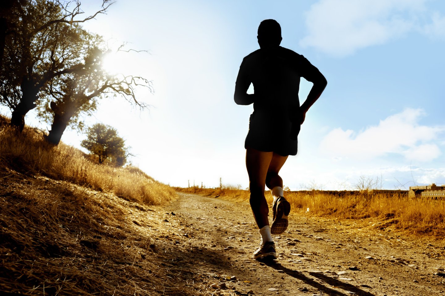 1904 metais maratonininkai Sent Luiso olimpinėse žaidynėse JAV turėjo įveikti beveik 40 km 33 °C karštyje. Sąlygos buvo itin prastos, o pačios lenktynės buvo labai keistos (asociatyvinė nuotr.).